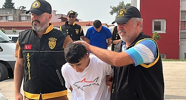 Ev ve iş yerlerini kundakladılar