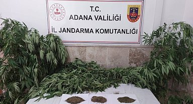 Evinin bahçesinde esrar yetiştiren zanlı yakalandı