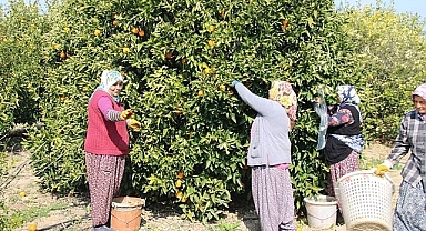 Tarım-ÜFE, Haziran'da yüzde 4 arttı