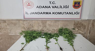 Uyuşturucu operasyonunda 21 şüpheli yakalandı