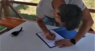 Yaralı ebabil tedaviye alındı
