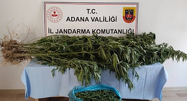 Jandarmadan uyuşturucu operasyonu