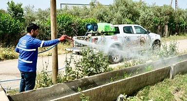 Büyükşehir haşereyle mücadele ediyor