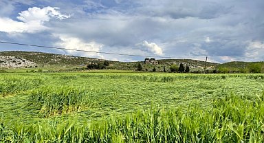 Dolu tarım arazilerine zarar verdi