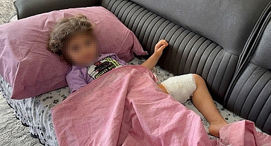 Köpek saldırısında yaralanan çocuk taburcu edildi