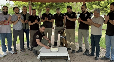 Narkotik köpeği