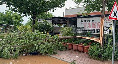 Adana'da sağanak etkisini sürdürüyor