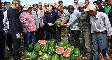 Sezonun ilk karpuz hasadı yapıldı