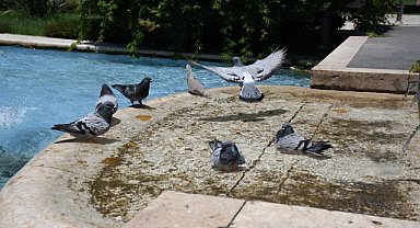 Adana'da hava sıcaklığı 40 dereceyi aştı