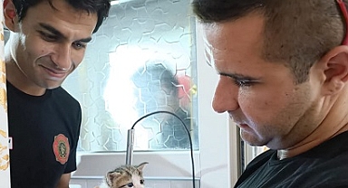 KEDİ KURTARMA OPERASYONU