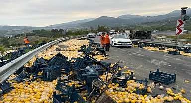 LİMON YÜKLÜ KAMYON DEVRİLDİ