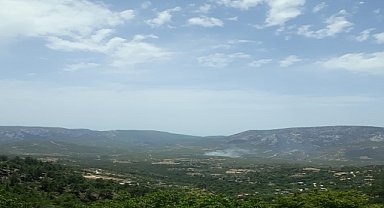 ORMAN YANGINI KORKUTTU