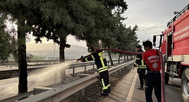 REFÜJDEKİ AĞAÇLAR YANDI