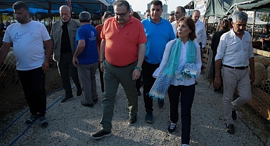 Seyhan’da 4734 kurban ücretsiz kesildi