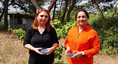 ÜZÜM BAĞLARINI KURAKLIKTAN KURTARMA OPERASYONU