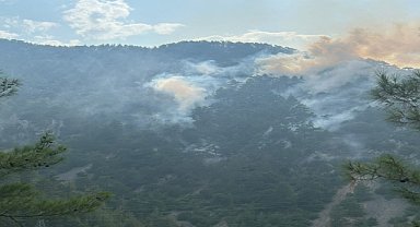 Adana'daki orman yangını kontrol altına alındı