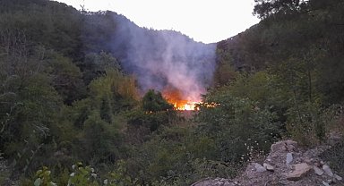 Bahçede çıkan yangın söndürüldü