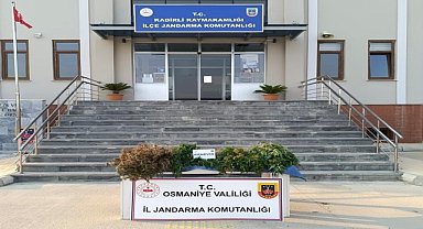 Kadirli'de uyuşturucu operasyonu