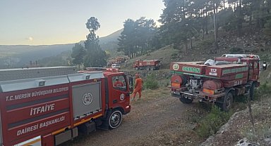 ORMAN YANGINLARI BİR TÜRLÜ ÖNLENEMİYOR