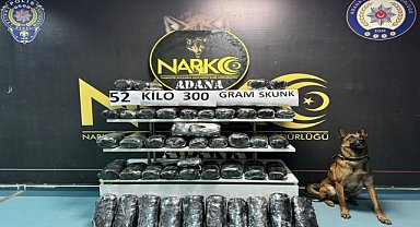 Pikaba gizlenmiş 52 kilo 300 gram skunk ele geçirildi