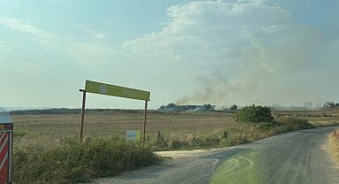 TARLAYI YAKTILAR YANGIN ORMANA SIÇRADI