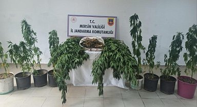 Uyuşturucu operasyonunda yakalanan 2 zanlı tutuklandı