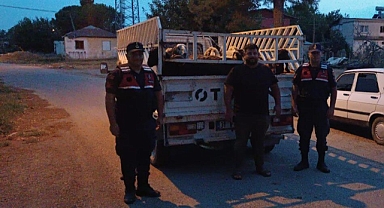 Çalınan hayvanlar sahibine verildi, hırsız tutuklandı