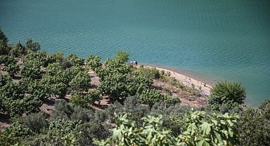 Helikopterin kırıma uğradığı bölgede inceleme