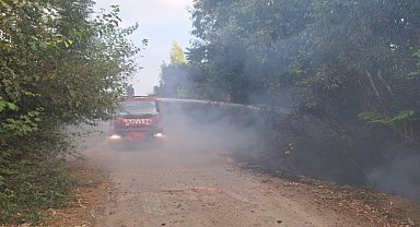 Orman yangını kontrol altına alındı