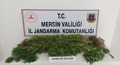Uyuşturucu operasyonunda 4 zanlı yakalandı