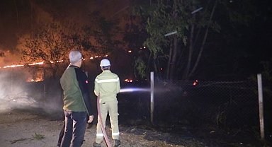 Adana'da çıkan orman yangını kontrol altına alındı