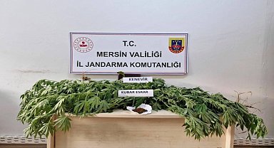 Uyuşturucu operasyonunda 3 zanlı yakalandı