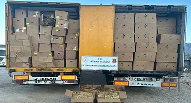 2 tırda 23 ton kaçak tütün ele geçirildi