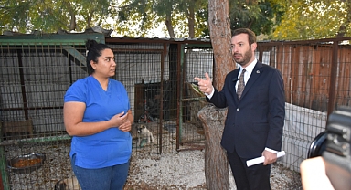 Ceyhan'da sokak hayvanları yeni barınak projesi