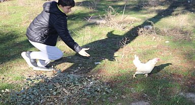 ÖĞRENCİLER SERA KURDU