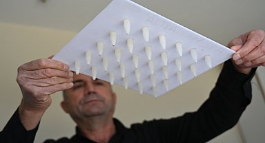 AKREPTEN PARA KAZANIYOR