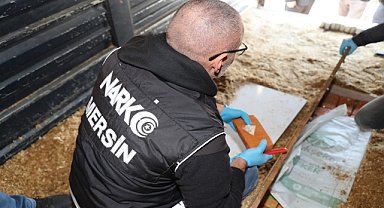 Kamyonet kasasında 44 kilo 720 gram eroin ele geçirildi
