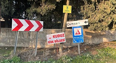 Mahalle kuduz nedeniyle karantinaya alındı