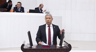 SERMAYE PARA KAZANACAK DİYE 400 AĞAÇ KESİLECEK