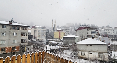 ADANA ADETA BUZ KESTİ!