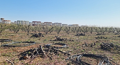 BARUT: TARIM ARAZİLERİNE EL KOYDULAR