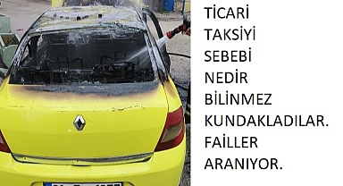 Park halindeki taksi kundaklandı