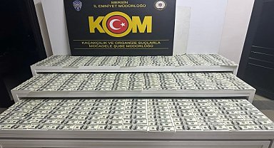 SAHTE DOLAR BASTILAR