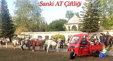 Adana’yı böyle mi tanıtacaksınız?