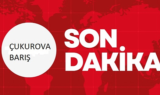 ADANA'DA VALİ YARDIMCILARI VE KAYMAKAM ATAMALARI FURYASI