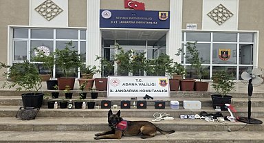 EVİNDE KENEVİR YETİŞTİRDİ