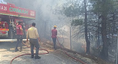 OTOMOBİLDEN SIÇRAYAN YANGIN ORMANI YAKTI