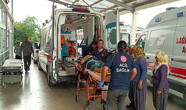 Adana'da iki otomobilin çarpıştığı kazada 4 kişi yaralandı