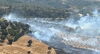 Adana'da orman yangını