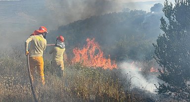 Adana'da tarladan ormana sıçrayan yangın söndürüldü